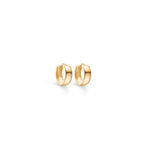 Små guld hoops