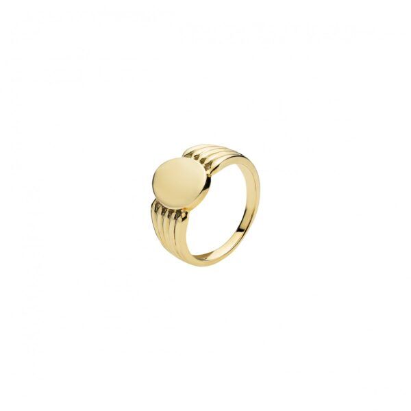 Guld ring plade oval 12x10mm 8 karat