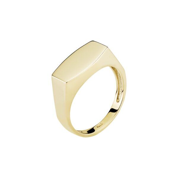 8 karat Guld ring plade 14x8mm