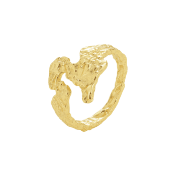 Justerbar ringe